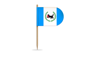 Irkutsk Flag for Desk, Table flag