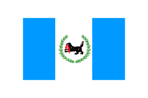 Irkutsk Flag Vector Illustration flag