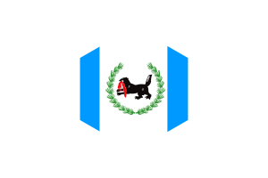Irkutsk Flag Hexagon Shape flag