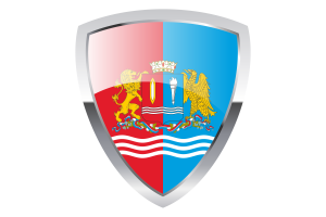Ivanovo Shield Flag flag