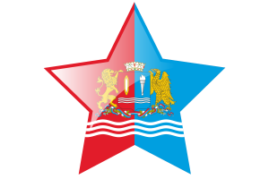 Ivanovo Flag Star Icon flag
