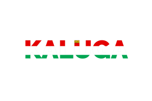 Kaluga Text Art flag