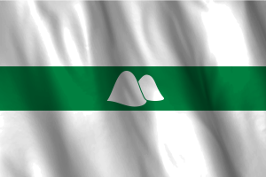 National Flag of Kurgan flag