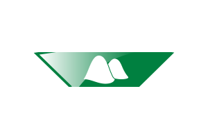 Kurgan Flag Star Icon flag