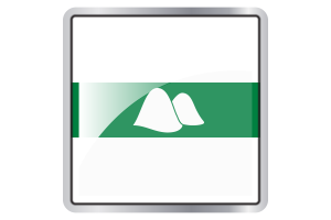 Kurgan Flag Square icon flag