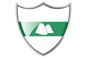 Standard of Kurgan flag