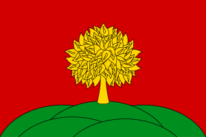 Bandiera di Lipetsk flag