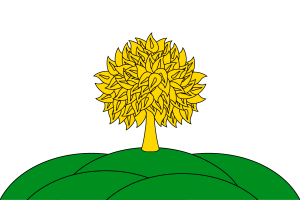 Impero Lipetsk flag
