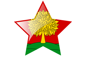 Icona Stella della Bandiera di Lipetsk flag