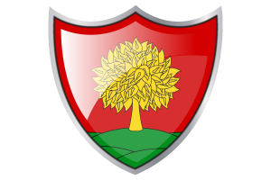 Stendardo di Lipetsk flag