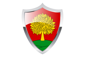 Bandiera di Lipetsk con Scudo Medievale flag