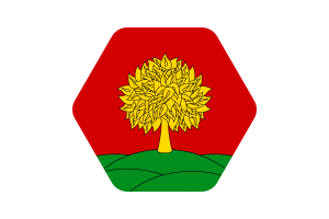 Illustrazione della Bandiera di Lipetsk Forma Esagonale Arrotondata flag