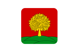 Bandiera di Lipetsk Forma Quadrata Arrotondata flag