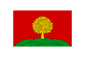Illustrazione Vettoriale della Bandiera di Lipetsk flag
