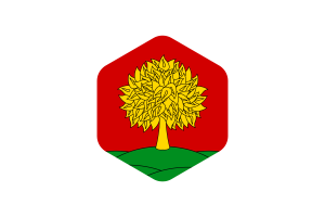 Bandiera di Lipetsk Forma Esagono Arrotondato flag