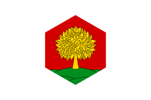 Bandiera di Lipetsk Forma Esagonale flag