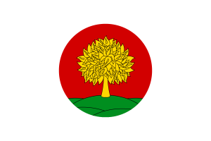 Bandiera di Lipetsk Vettore Cerchio Gratuito flag