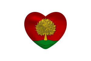 Amore di Lipetsk Forma Cuore flag