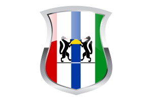 Novosibirsk Pride Flag flag