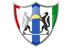 Standard of Novosibirsk flag