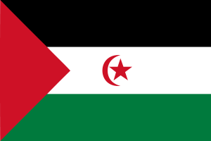 Flag of Western Sahara flag
