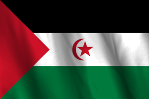 National Flag of Western Sahara flag