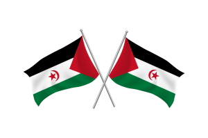 Western Sahara Waving Friendship Flag flag