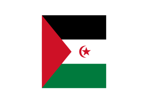 Western Sahara Flag (Download SVG, PNG) flag