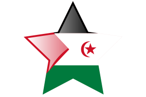 Western Sahara Flag Star Icon flag