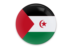 Western Sahara Flag Vector Art flag