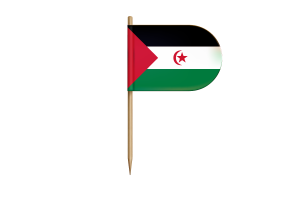 Western Sahara Flag for Desk, Table flag