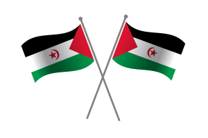 Western Sahara Friendship Flag flag