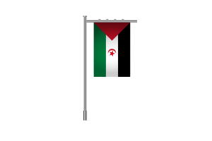 3d Western Sahara Standing Flag flag