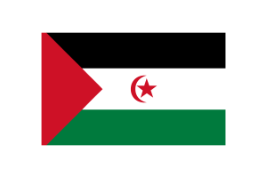 Western Sahara Flag Triangle Vector Illustration flag