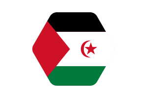 Western Sahara Flag Vector Illustration flag