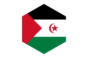 Western Sahara Flag Hexagon Shape flag