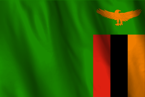 National Flag of Zambia flag