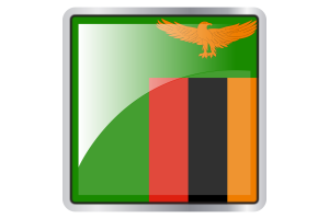 Zambia Flag Square icon flag