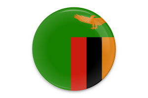Zambia Flag Vector Art flag