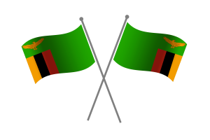 Zambia Friendship Flag flag