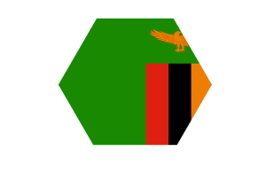 Zambia Flag Vector Free | SVG and PNG flag