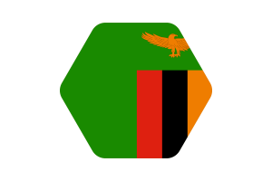 Zambia Flag Vector Illustration flag