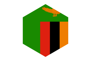 Zambia Flag Hexagon Shape flag