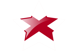 Alabama Flag Star Icon flag
