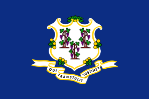 Flag of Connecticut flag