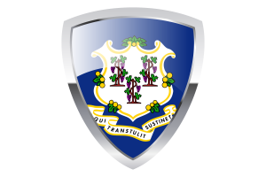 Connecticut Shield Flag flag