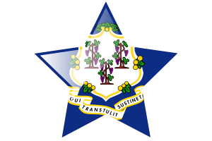 Connecticut Flag Star Icon flag