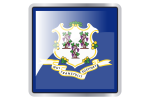 Connecticut Flag Square icon flag