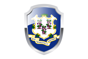 Connecticut Shield Logo flag