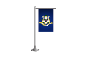 3d Connecticut Standing Flag flag